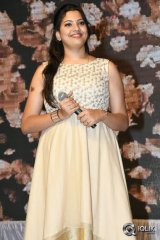 Enthavaraku Ee Prema Movie Audio Launch